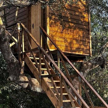 Cabana Del Arbol Lavagarural Villanueva del Rosario 외부 사진