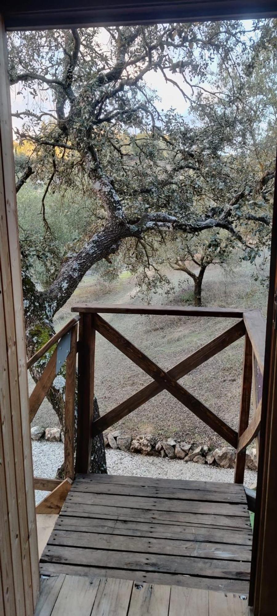 Cabana Del Arbol Lavagarural Villanueva del Rosario 외부 사진